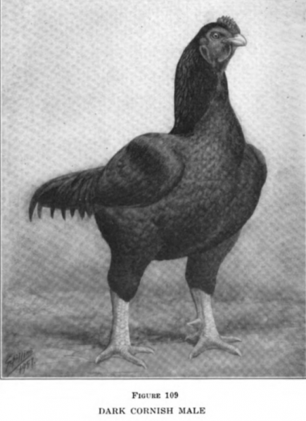 File:Cornish.png